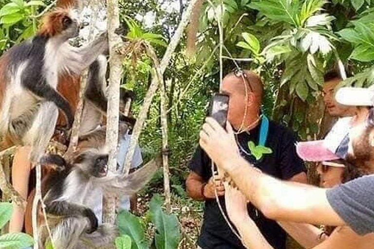 FROM NUNGWI/KENDWA:STONE TOWN, PRISON ISLAND & JOZANI FOREST Private tour include hotel pick up and drop off