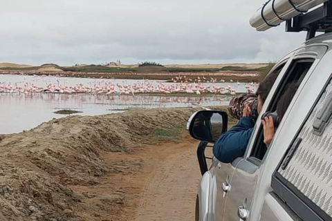 Walvis Bay: Vogels kijken en fotograferen