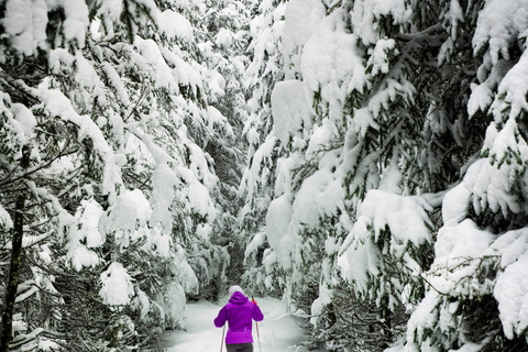 斯德哥尔摩：越野滑雪入门