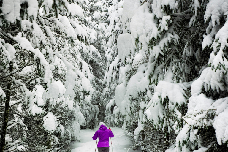 斯德哥尔摩：越野滑雪入门