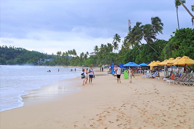 Pacchetto turistico di 14 giorni in Sri LankaPacchetto tour di 14 giorni: copertura completa della parte migliore dello Sri Lanka