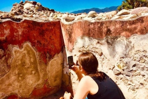 Oaxaca: Exklusive private Yagul UNESCO Kulturerbe Tour