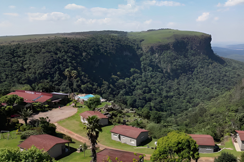 8-dniowa wycieczka safari do Parku Narodowego Krugera, St Lucia i Sodwana