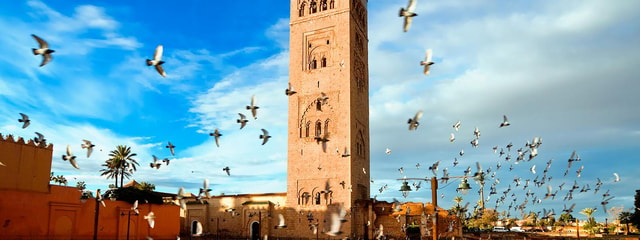 Marrakech: Half-Day Guided City Tour