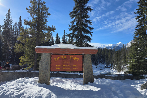 Tagestour zum Peyto Lake, Lake Louise, Johnston Canyon, mehr.Abfahrt von Canmore