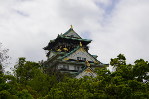 Tour di Osaka/Kyoto/Nara con guida parlante ingleseOsaka Kyoto Nara, tour dei punti salienti con guida in lingua inglese