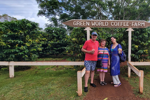 Oahu : Voiture et chauffeur exclusifs - 6 heures