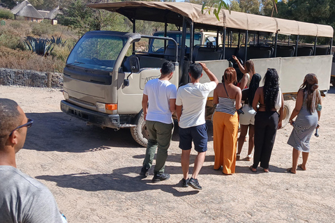 Cape Town: Aquila Game Reserve Safari with Buffet & Pickup