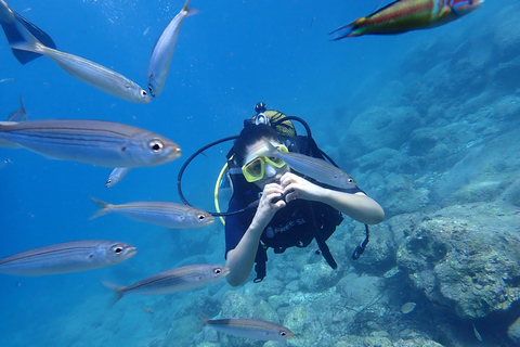 Alanya: PADI Discover Dive & Certified Training Options First Time Diving Option
