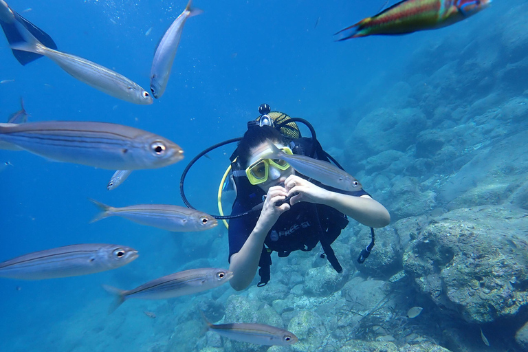Alanya: PADI Discover Dive & Certified Training Options First Time Diving Option