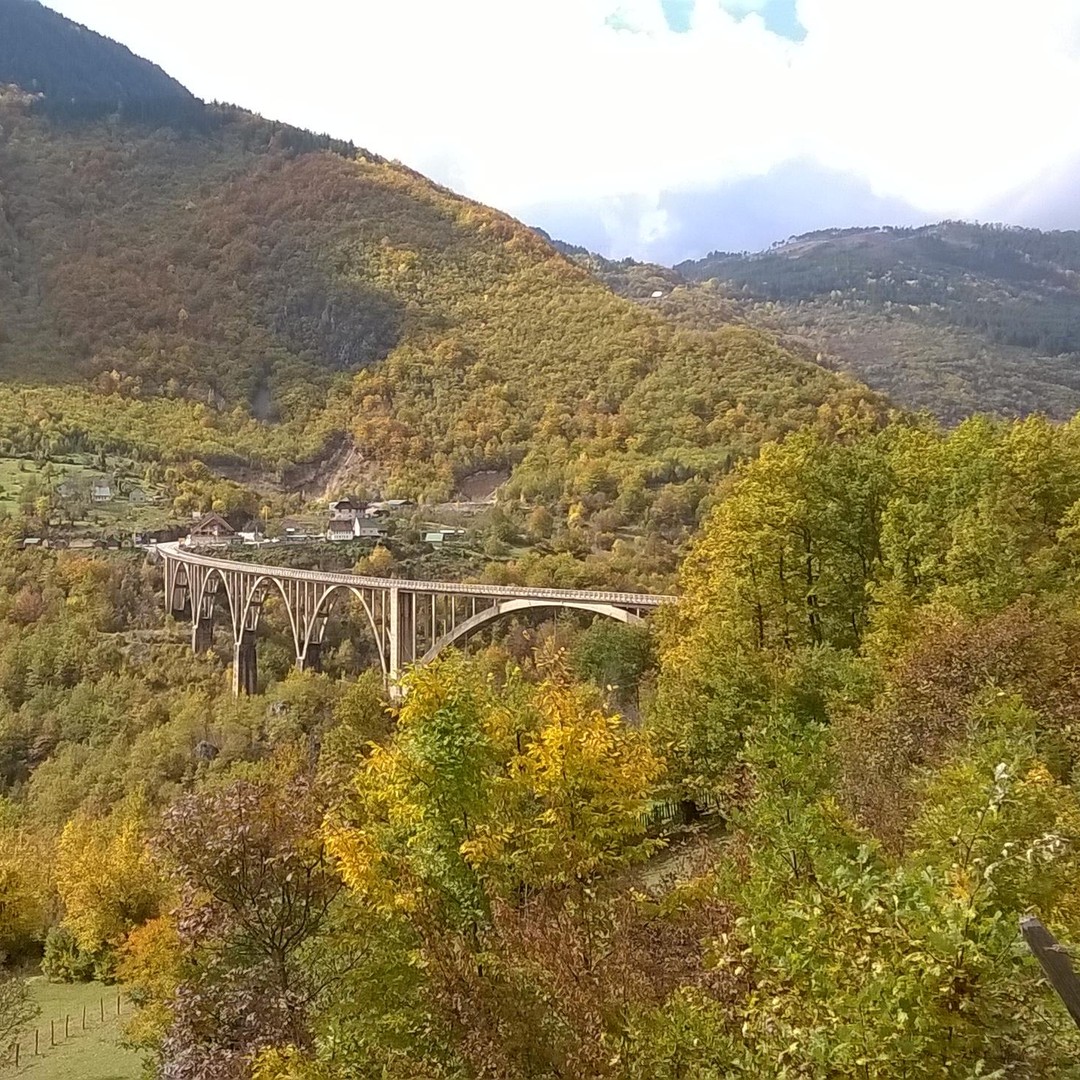Медиаколлаж