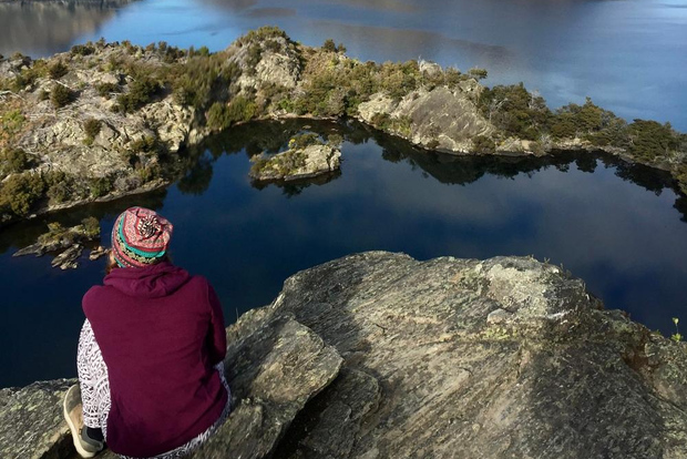 Wanaka: tour in barca di 1 giorno sul lago Wanaka ed escursione sull'isola