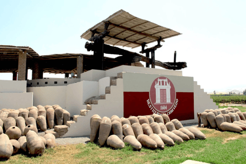 Paracas, Ica, and Premium Tasting at Hacienda Caravedo