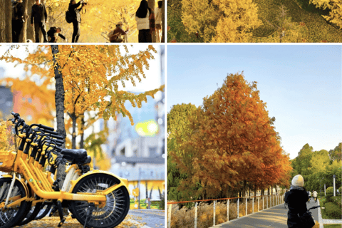 Shanghai Half-Day Bike Tour along East Bank of Huangpu River