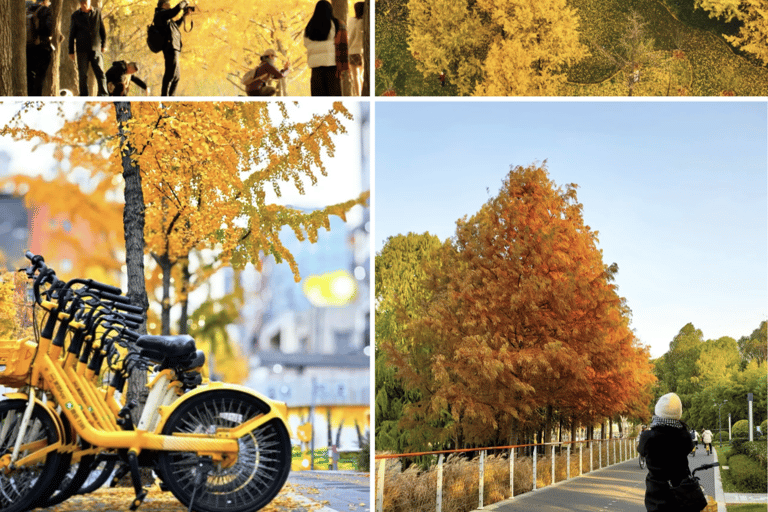 Shanghai Half-Day Bike Tour along East Bank of Huangpu River