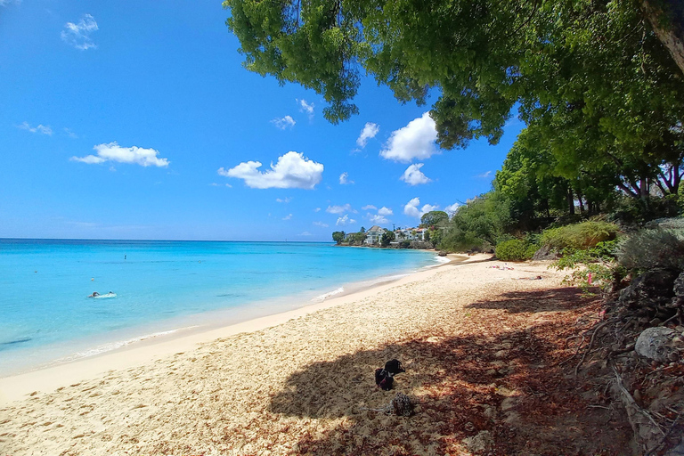 Barbados: Private Scenic Guided Tour