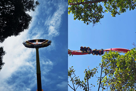 Guangzhou Chimelong: Safari Park/Paradise（Optional Day Tour） Chimelong Paradise – Adult