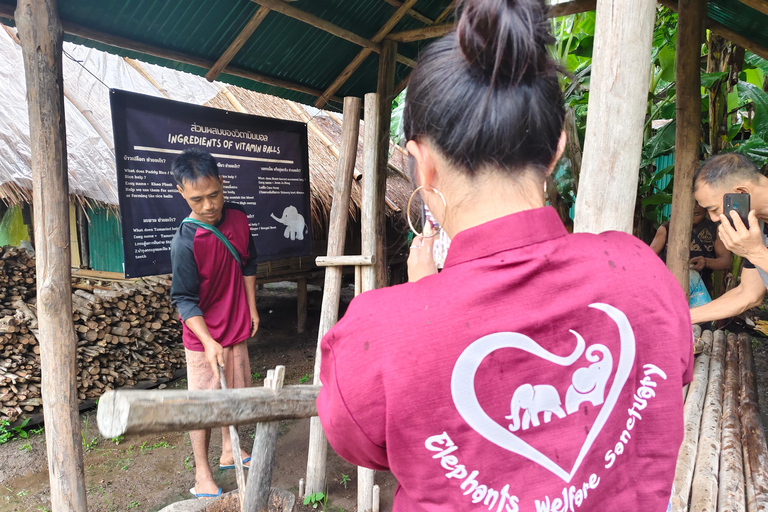 4 Experiences: Elephants, Sticky waterfalls, Market &amp; templeElephants: Sticky waterfalls: Local Market: Wat Banden