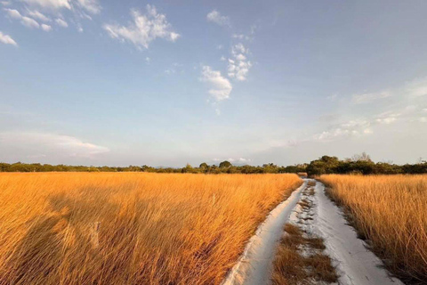 Khao Lak: 4WD Savanna Grassland Khao Na Yak & Beach Escape Khoa Lak: 4WD Savanna Grassland Khao Na Yak & Beach Escape