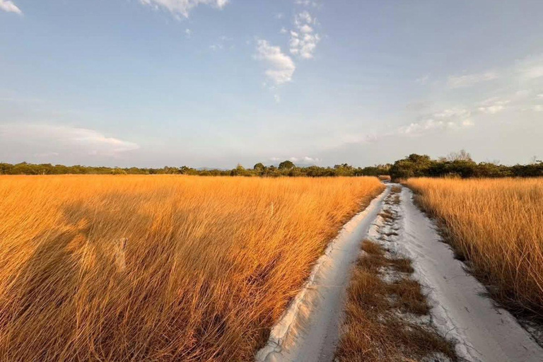 Khao Lak: 4WD Savanna Grassland Khao Na Yak & Beach Escape Khoa Lak: 4WD Savanna Grassland Khao Na Yak & Beach Escape