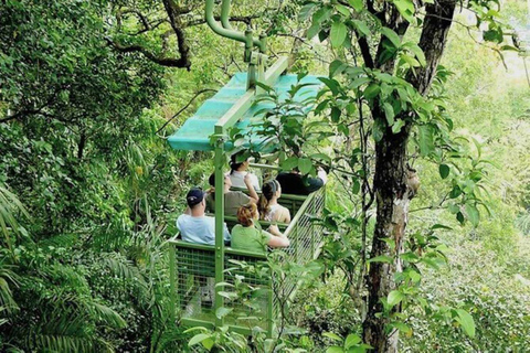 Panama City : Tramway aérien de Gamboa et visite du sanctuaire des paresseux