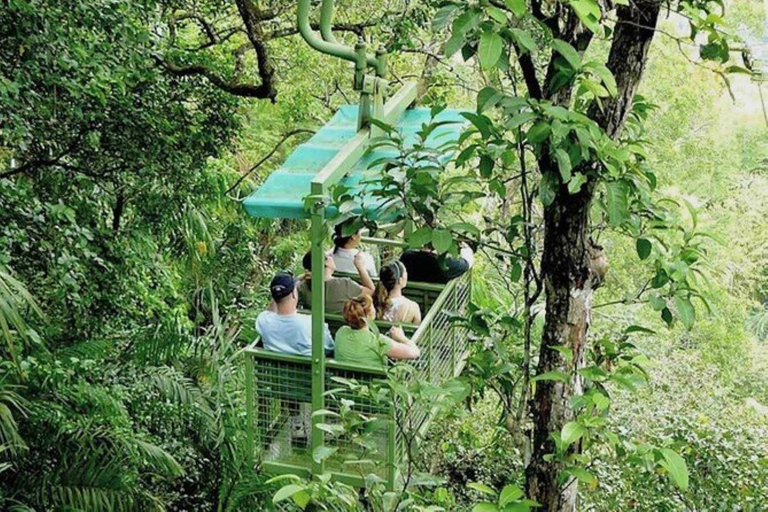 Panama stad: Gamboa Aerial Tram &amp; Utflykt till Sloth Sanctuary