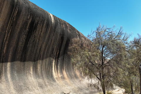Perth: Wave Rock, Mulka's Cave, and Hippo's Yawn( Day Tour)