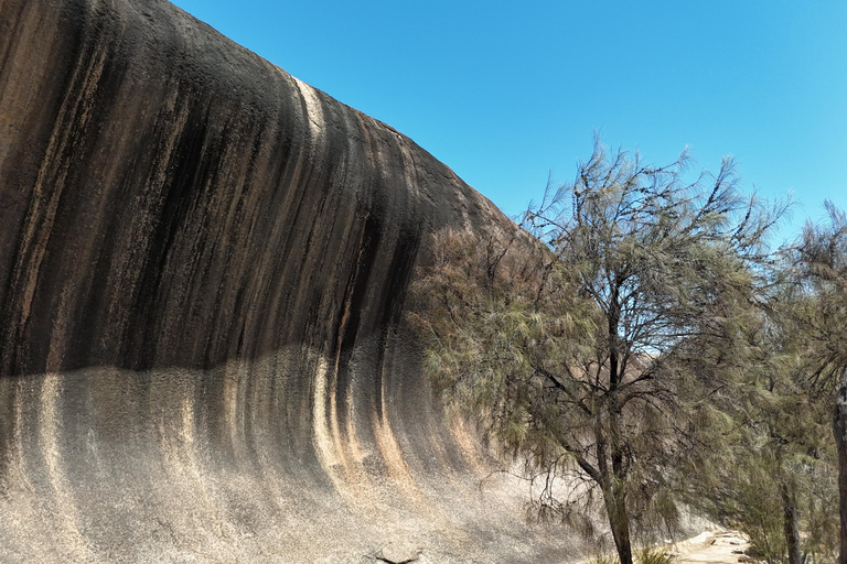 Perth: Wave Rock, Mulka's Cave, and Hippo's Yawn( Day Tour)