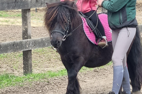 Paalzow: Riding lessons on reliable school horses