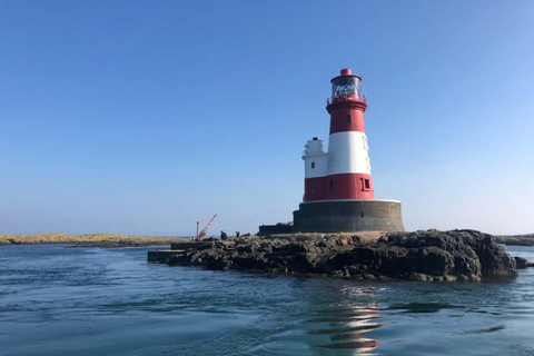 Seahouses: Longstone Lighthouse and Farne Islands Tour