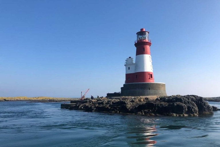 Seahouses: Longstone Lighthouse and Farne Islands Tour