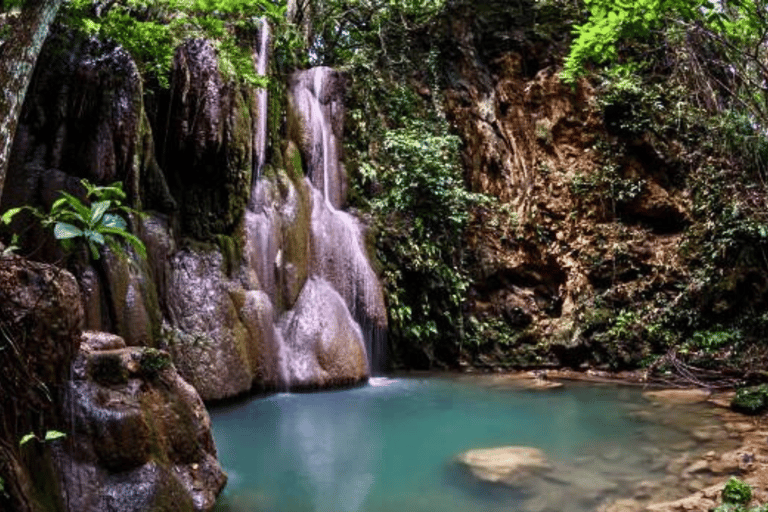 Chiang Mai: Culture of Temples and Sticky Waterfall