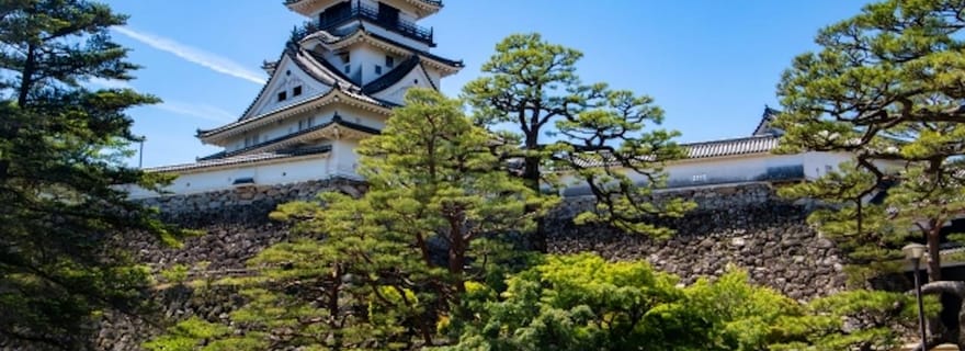 Kochi : excursion privée à terre pour les croisiéristes