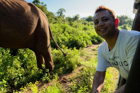 Safari a Yala con zampa, con prelievo da Ella e rilascio a Galle