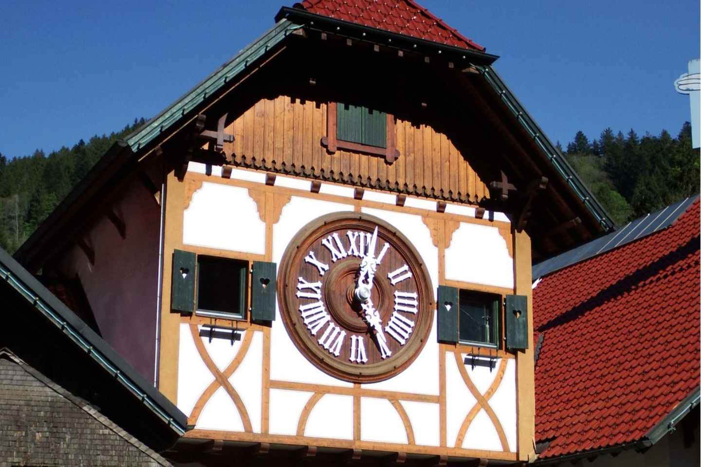 Zúrich: Tour en Auto Privado - Cataratas del Rin, Titisee y Selva Negra