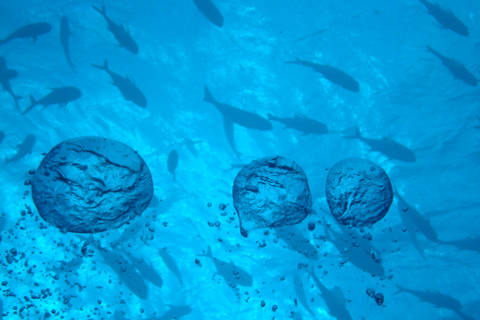 Half-Day Scuba Lesson For Beginners at Paraty Brazil