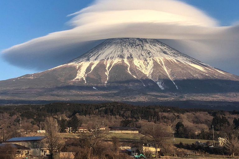 Tokyo: 7-Day Japan Highlights Private Guided Tour