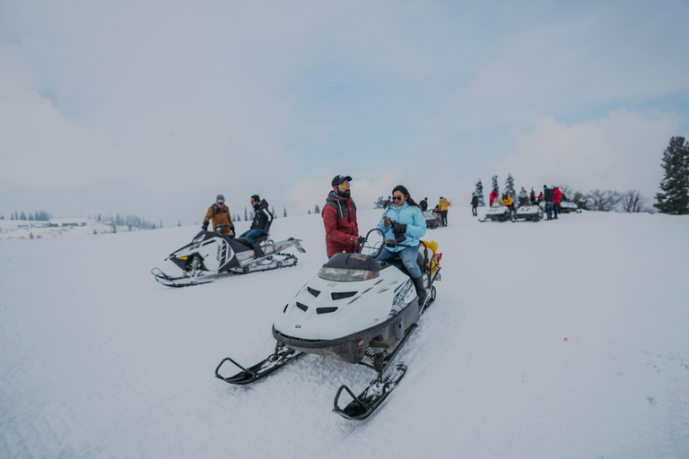 Extreme Snowmobile + Zakopane Tour + Bonfire & Tasting