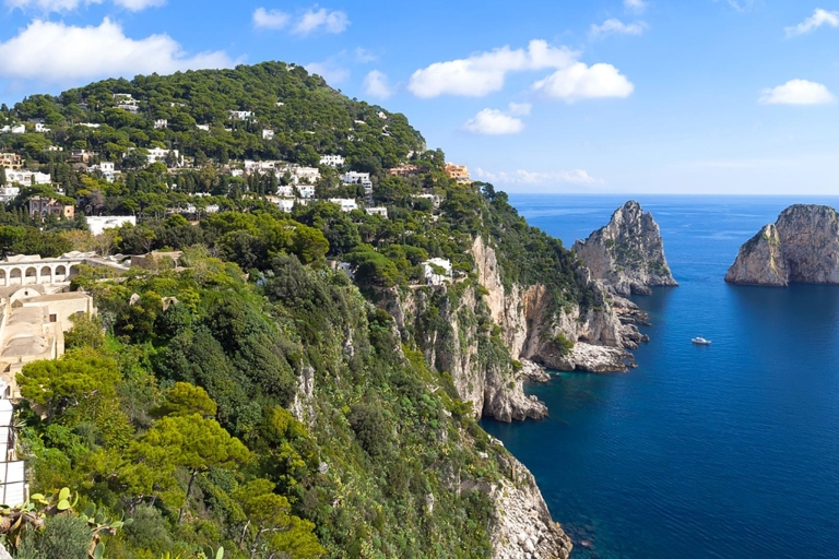 from Naples: Small-Group Boat Excursion to Capri Island Naples: Small-Group Boat Excursion to Capri Island