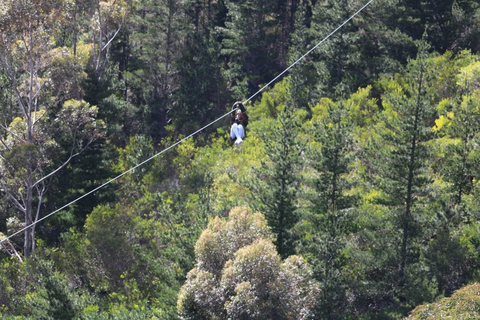 Cape Town: Zipline Adventures (Hotel Pickup &amp; Dropoff incl.)