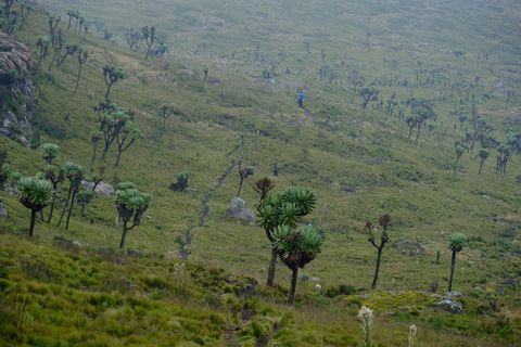 Aberdare National Park: Mount Satima Overnight Hike