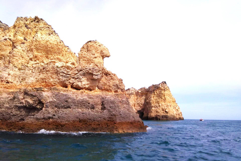 Lagos: Boat Trip to Grottos of Ponta da Piedade/caves Boat Trip to Grottos in Lagos up to 11 pax