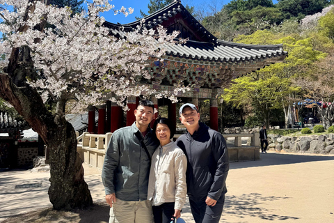 Private Gyeongju UNESCO Tour with Ryan - Starts in Gyeongju From Gyeongju: Private UNESCO Highlights with a Local Guide