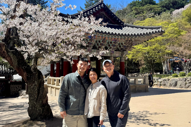 Private Gyeongju UNESCO Tour with Ryan - Starts in Gyeongju From Gyeongju: Private UNESCO Highlights with a Local Guide