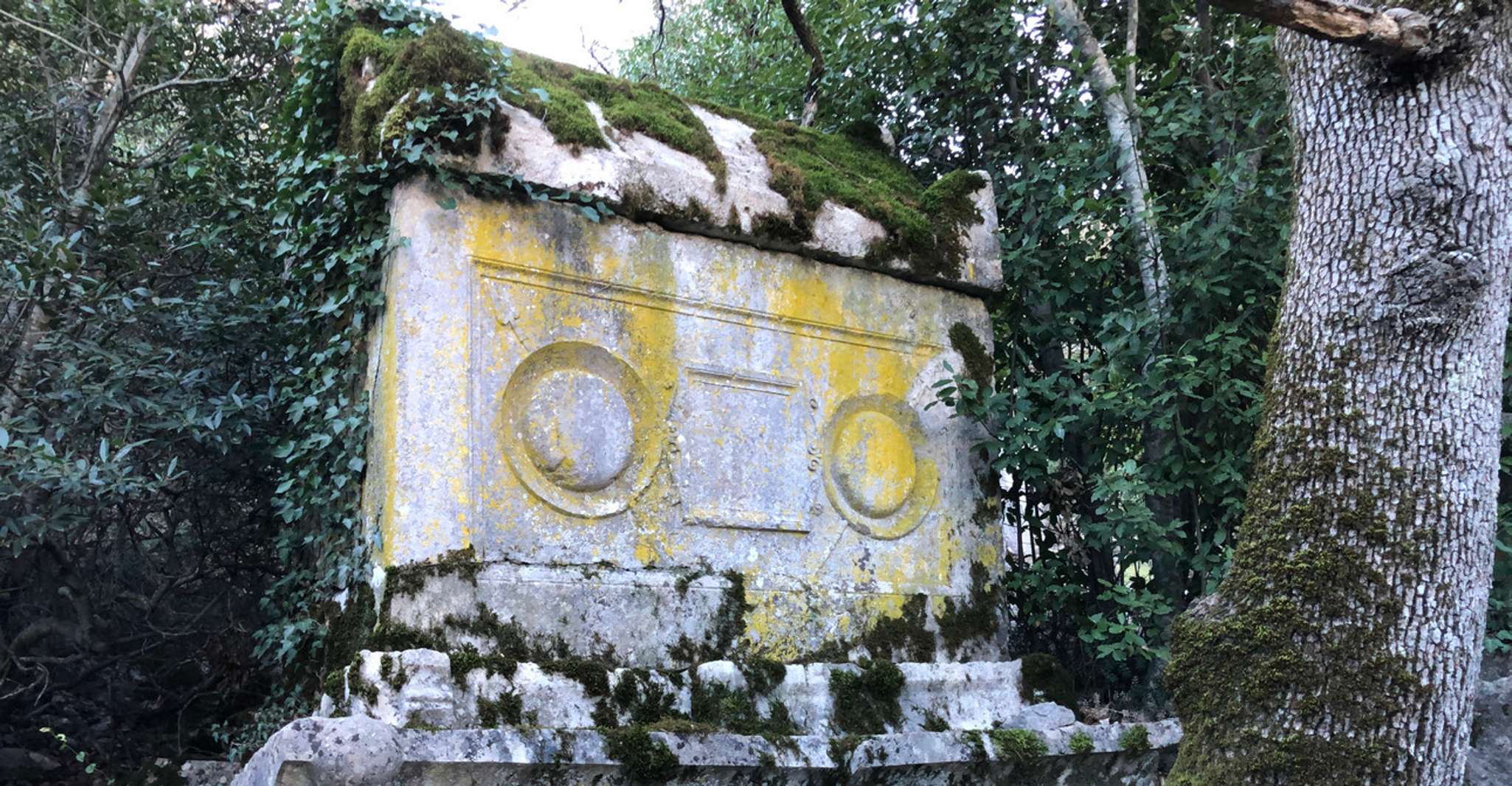 Wandern in der antiken Stadt Termessos - Hizvo