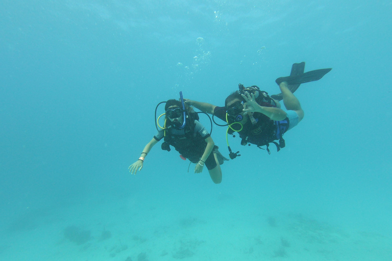 Discover Scuba Diving in Aruba