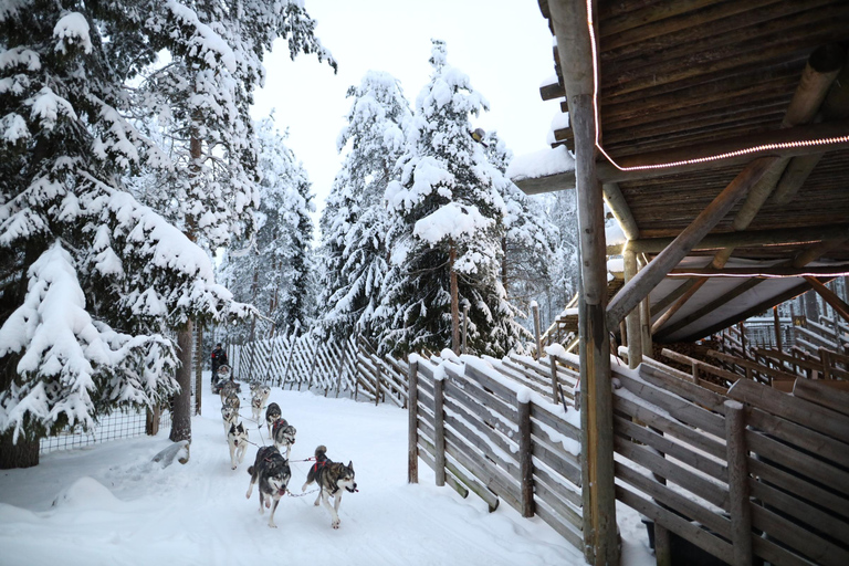 Rovaniemi: Husky, Reindeer &amp; Santa Claus Village Combo TourCombo safari Winter