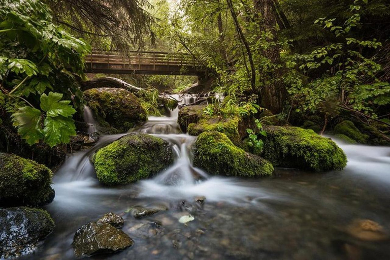Anchorage: Sunset Photo Safari