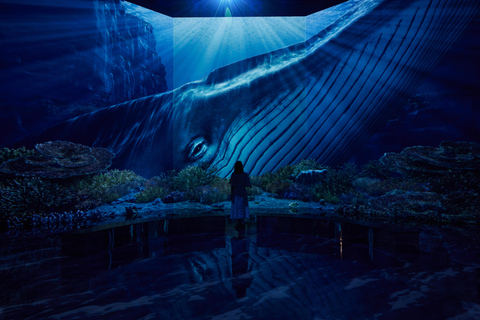 Paju: Museum HEI Immersive Media Art Exhibition Entry Ticket