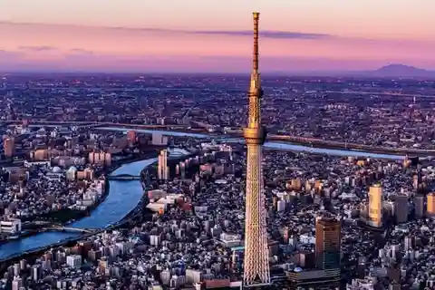 Tokyo One Day Customizable Trip With English speaking Driver